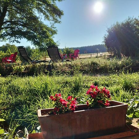 Appartamento Les Capucines La Souris Des Champs Étival-Clairefontaine Esterno foto