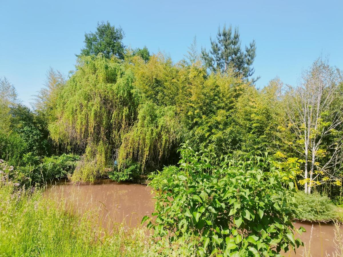 Appartamento Les Capucines La Souris Des Champs Étival-Clairefontaine Esterno foto