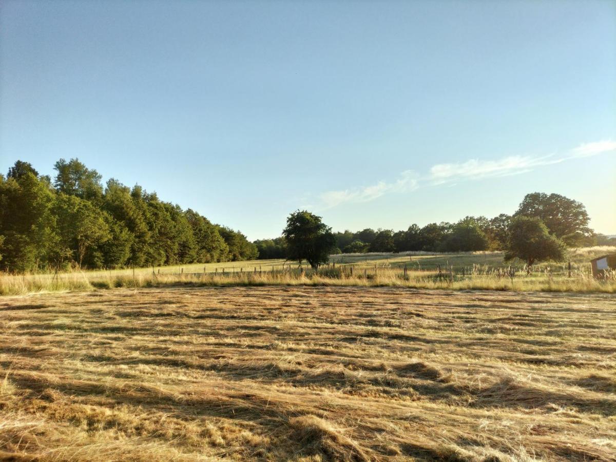Appartamento Les Capucines La Souris Des Champs Étival-Clairefontaine Esterno foto
